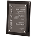 10 1/2" x 13" Black Piano Finish Floating Acrylic Plaque